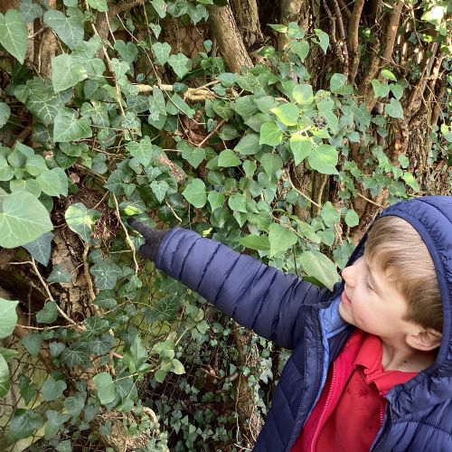 Forest School